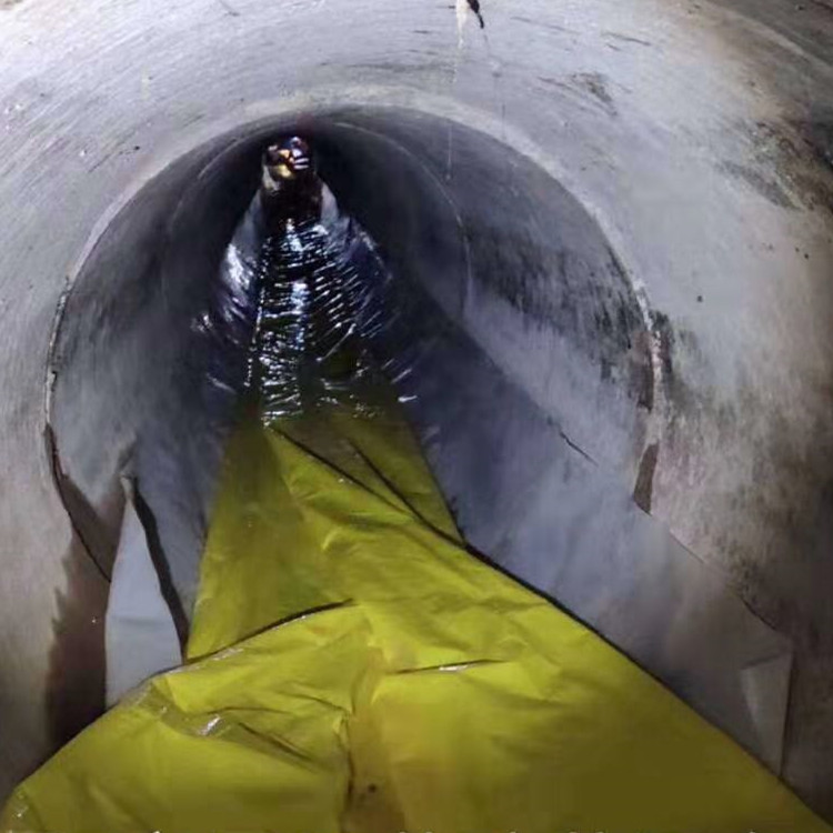 彰武管道光固化修复